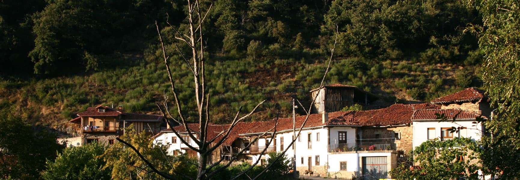Vista/contexto de San Pedro de Bedoya, uno de los barrios históricos del concejo de Bedoya.